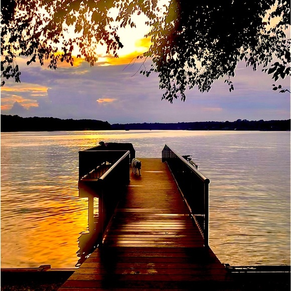 VACATION MODE NOTIFICATION - Picture 8 of 15